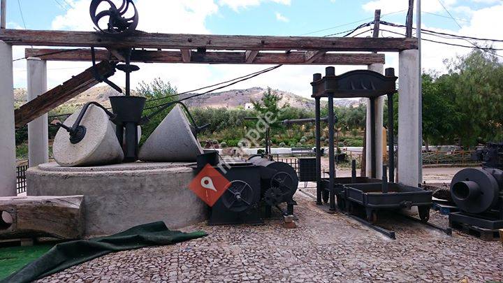 Aceite De Oliva Molina