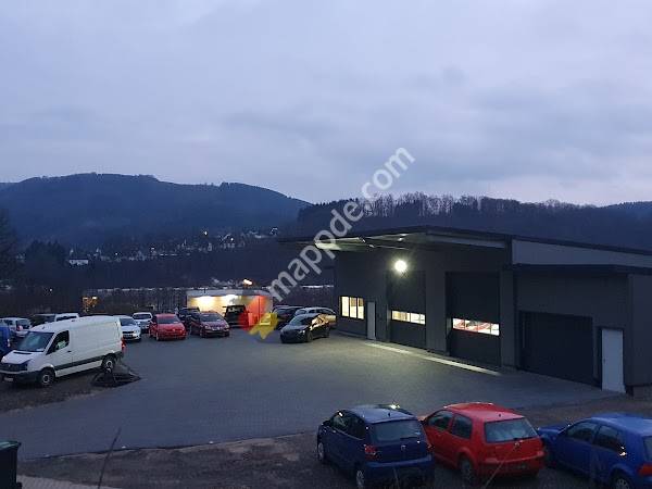 Auerswald Automobile