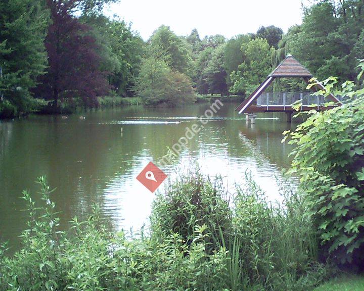 Autorin mit Witz und Humor