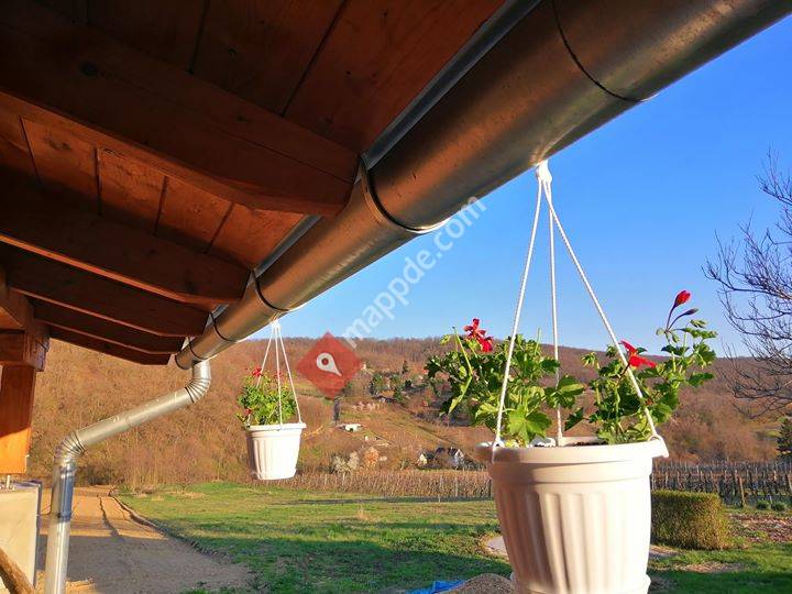 Balatonurlaub im Weinberg