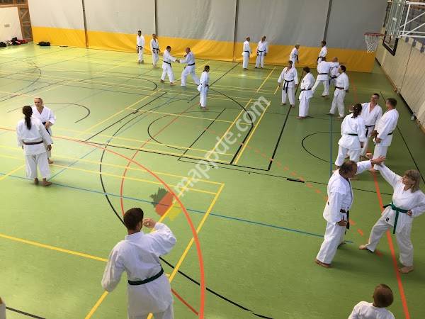 Ballspielhalle Botnang (Ballspielhalle des AfSB)