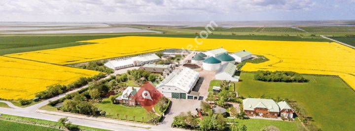 Bauernhof Familie Wulff