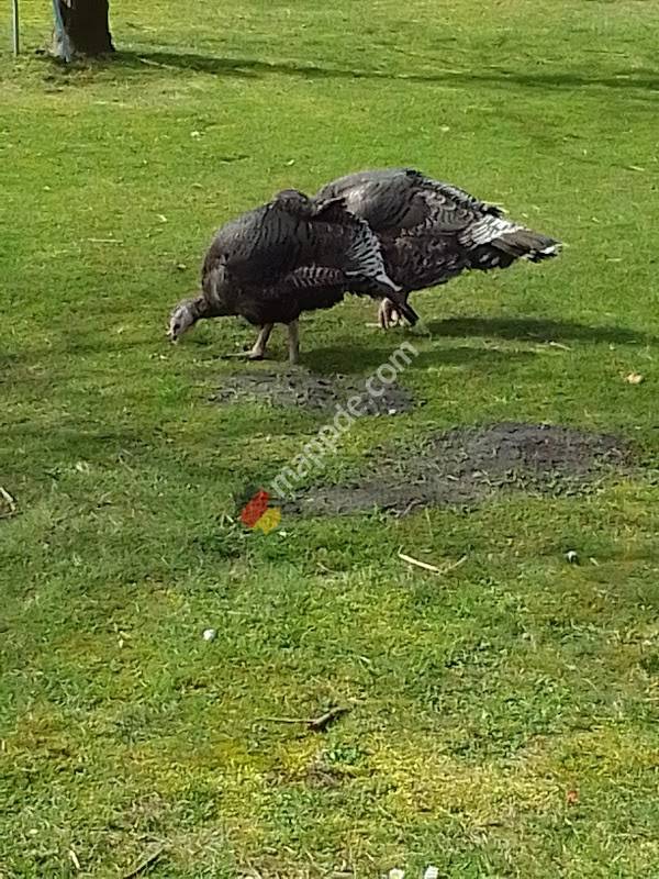 Bauernhof im Feldpark