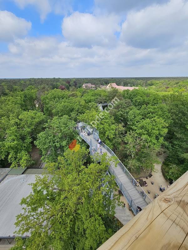 Baum & Zeit — Parkplatz