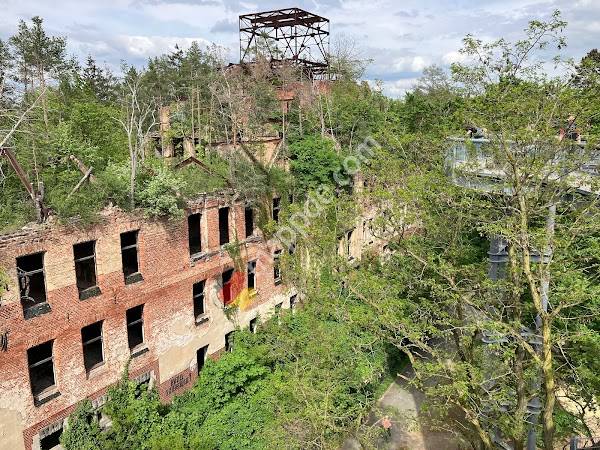 Beelitz Heilstätten „Das Alpenhaus“