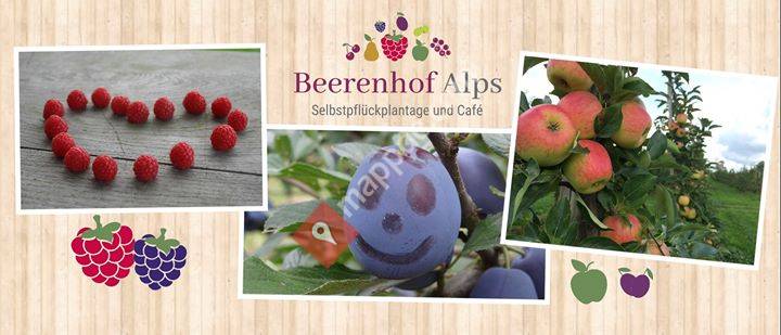 Beerenhof Alps