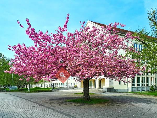 Berufliche Schulzentren / Wirtschaft I