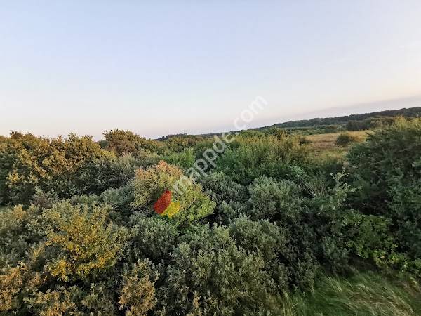 Besucherplattform Duhner Heide