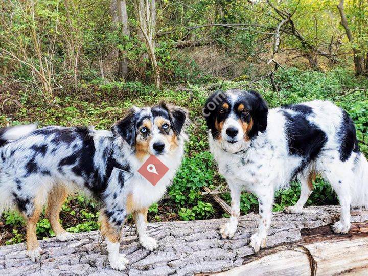Biermann's Familienbande