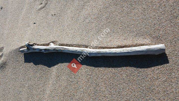 Bij Katrijn NEI- en kindercoach