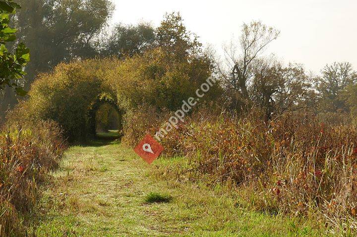 Biosphärenreservat Niedersächsische Elbtalaue