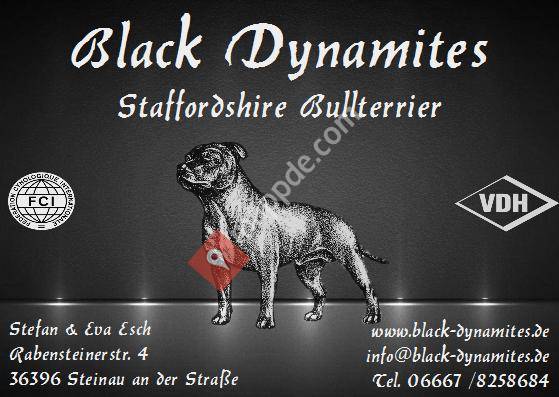 Black Dynamites