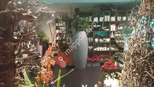 Blumenhaus am Pfaffenteich