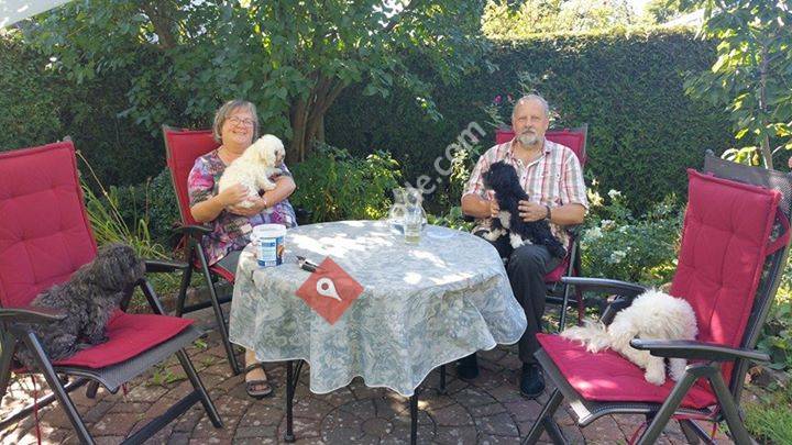 Bolonka Zwetna vom Eulenberg