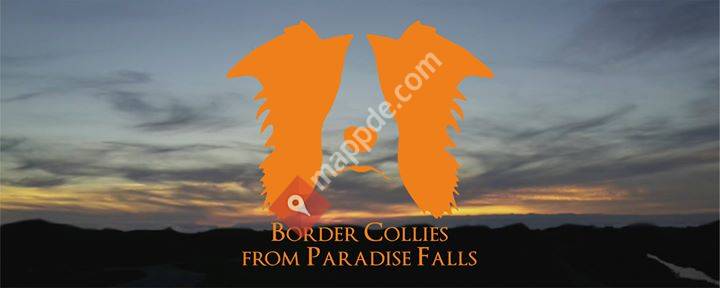 Border Collie Kennel from Paradise Falls