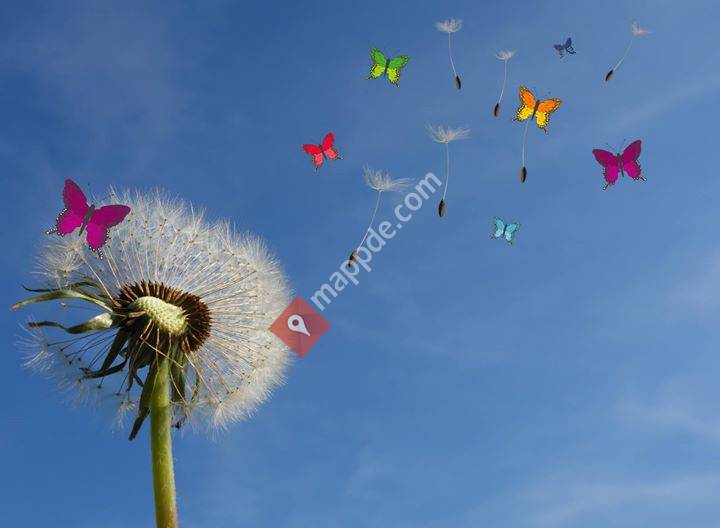 Bunt und einzigartig Coaching - Nicole Gollan