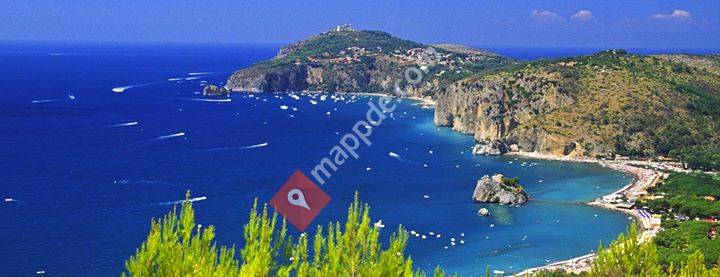 Cilentano - Natürlich Süditalien!