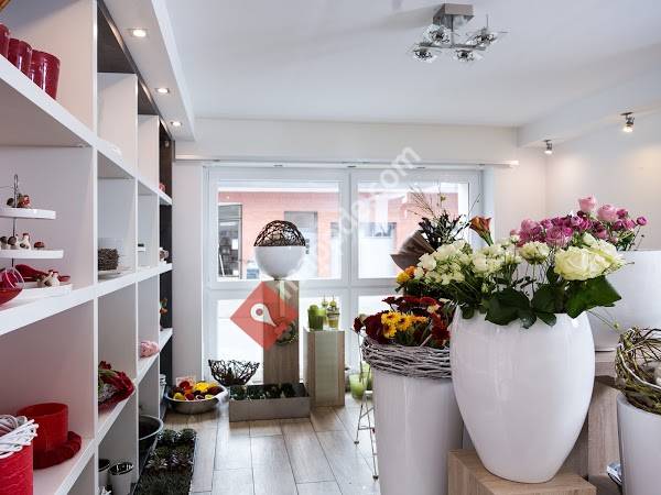 Dat Blomenhues Huerkamp GmbH