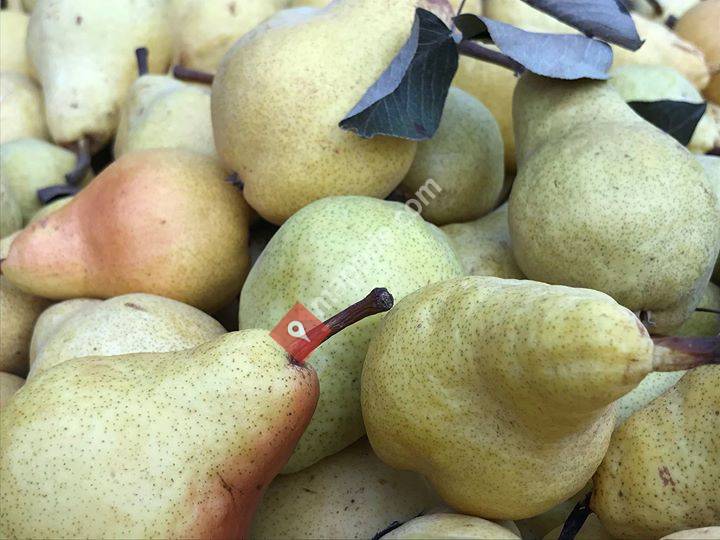 Die Mühle - Hausbrennerei Locherer