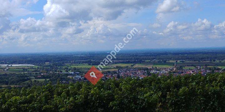 Die Naturschule Regenbogen