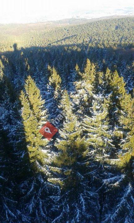 Die original Köppelseite