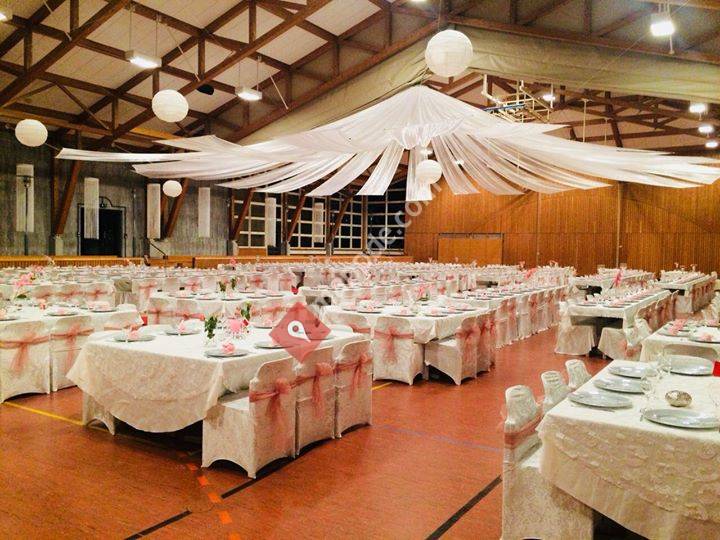 Dilara Sezai Organisation