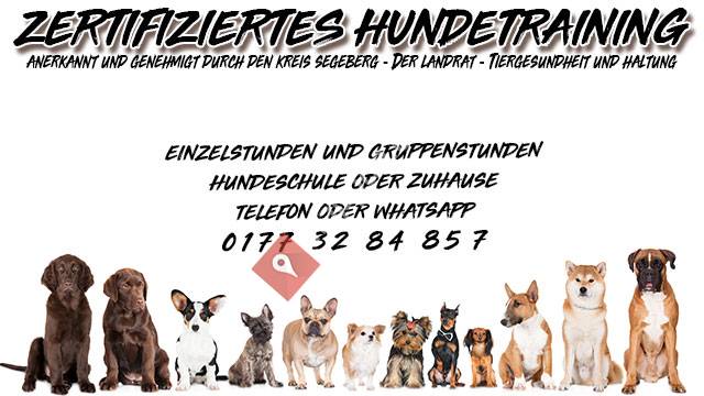 Dogtastisch - Hundetraining & Verhaltensberatung