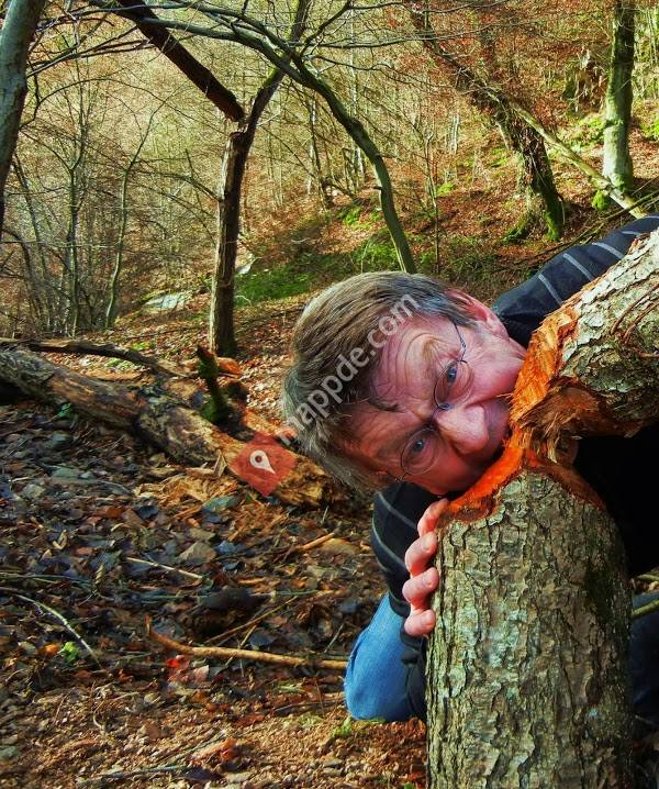 Dr. med. dent. Detlef Wolf