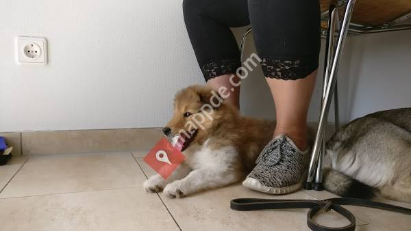 Dr.med.vet. Andreas Freytag Tierarzt