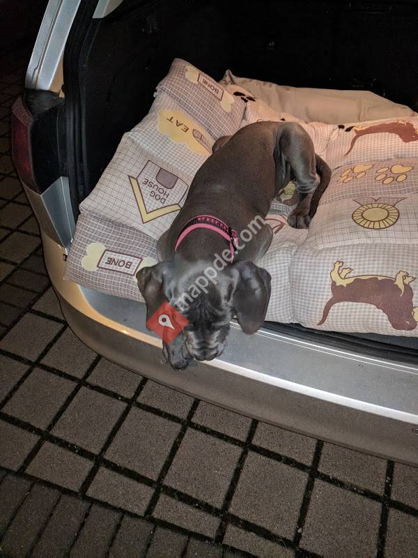 Dr. med. vet. Peter Grommelt