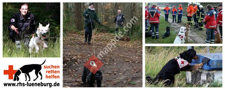 DRK Rettungshundestaffel Lüneburg