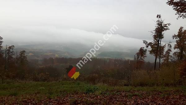 EDEKA Frischemarkt Thomas Metz