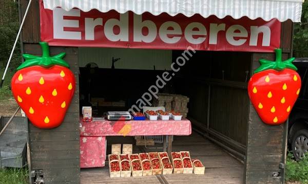 Edmund Kubitz - Erdbeeren