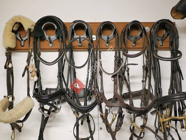 Eichenhof Pferdesport