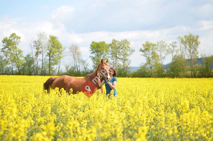 Einklang-Reittherapie Franke