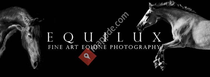 Equilux - Fine Art Equine Photography