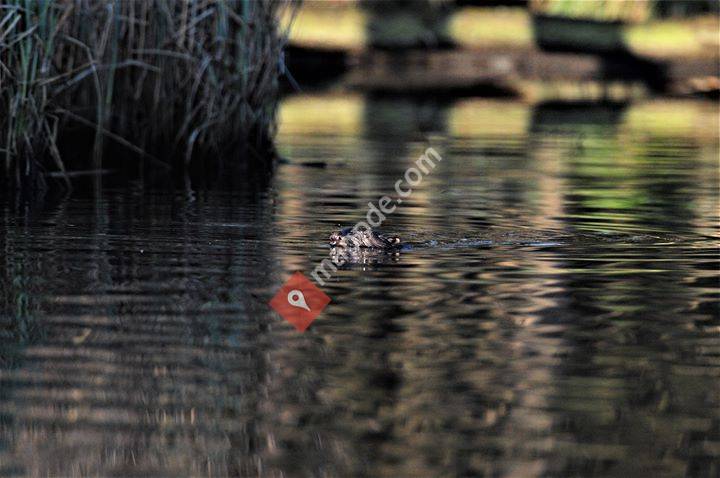 Erlebe Wildnis e. K.