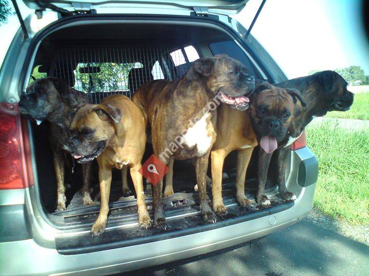 Erziehung durch Beziehung