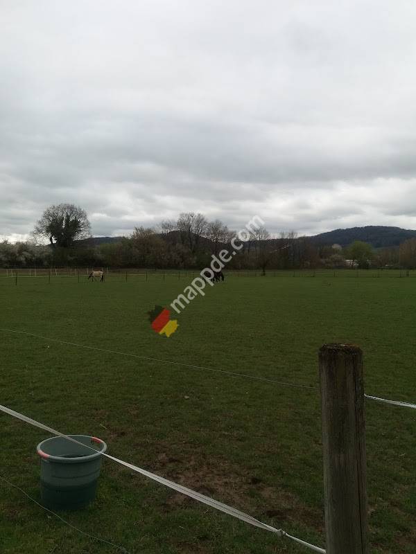 Fc Wallbach Kunstrasen Platz