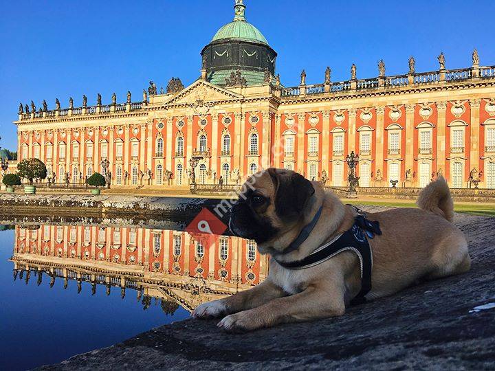 Fellnasen Betreuung Potsdam