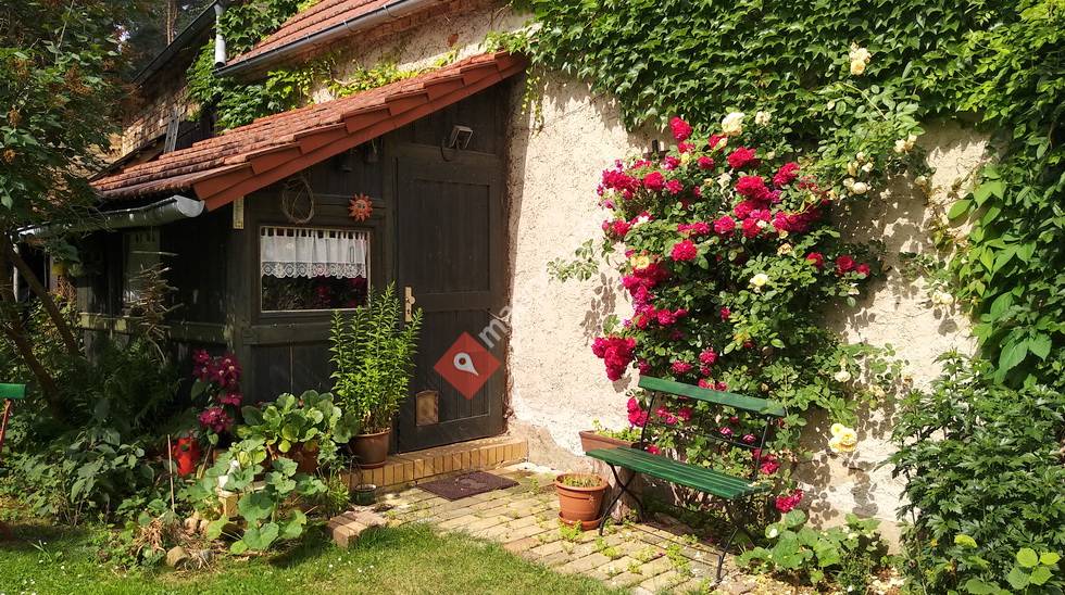 Ferienhaus Hachemühle - Dübener Heide
