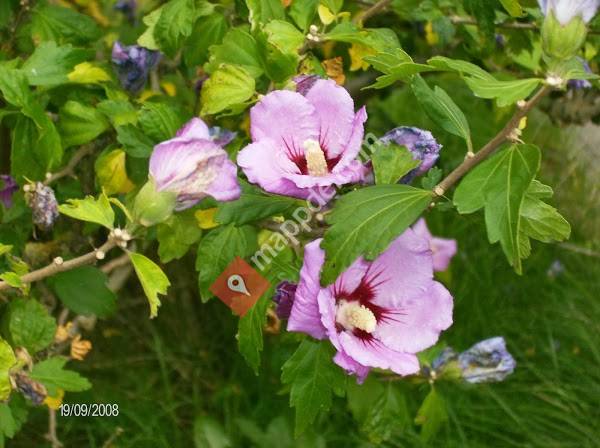 Ferienwohnung: Gästehaus am Holm