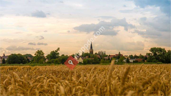 Feuerwehr Friedersdorf - Mulde