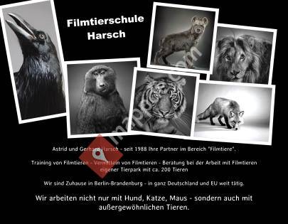 Filmtierschule Harsch