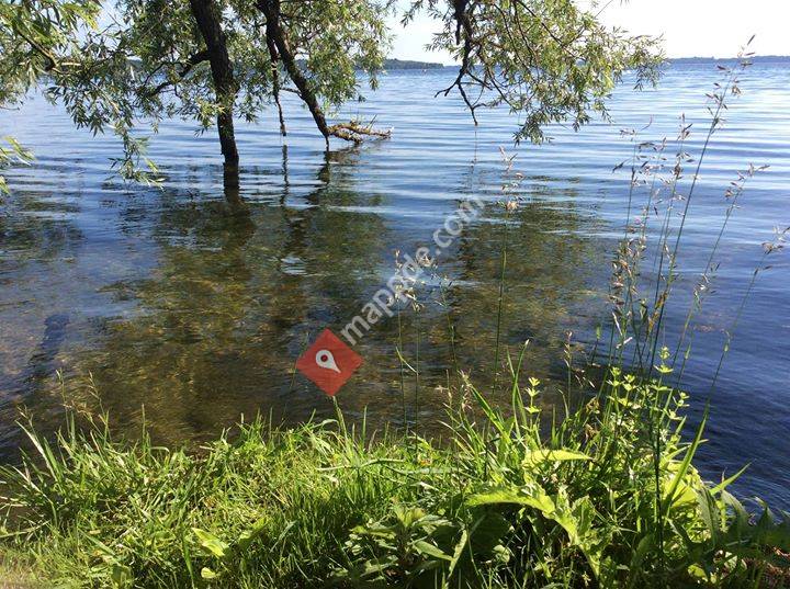 FLO Frei Lern Ort für eine demokratische und inklusive Schule Mecklenburg