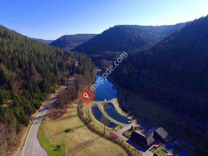 Forellenpark Kleinenztal