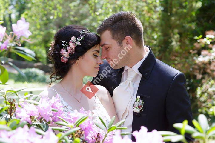 Foto Reinhard - Fotostudio