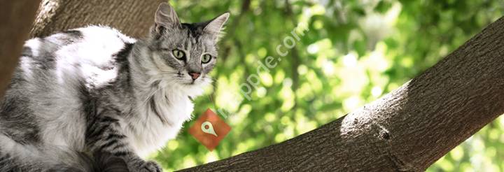 Fressnapf Aschersleben