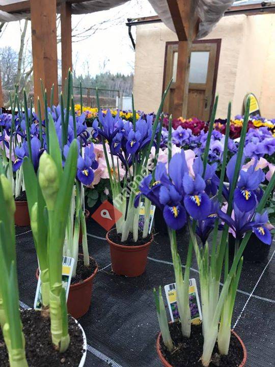 Gärtnerei an der Wasserburg