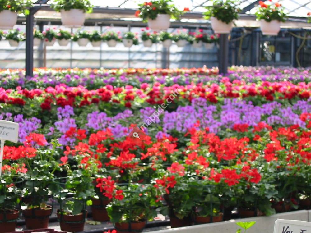 Gärtnerei & Gartencenter Knüfelmann